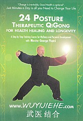 24 Postures Therapeutic Qi Gong DVD